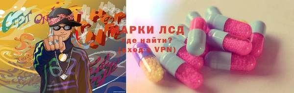 прущий лед Бородино