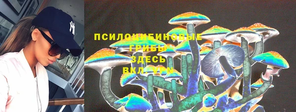 мескалин Бронницы