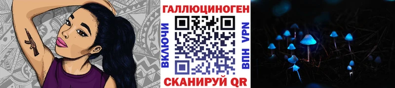 Псилоцибиновые грибы Psilocybe  что такое наркотик  Балей 